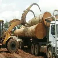 Mahogany Wood
