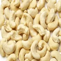 Cashew Nuts W180 W240 W320 W450