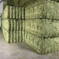 Alfalfa Hay Bales
