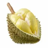 Freeze Dried Durian Fruit High-quality