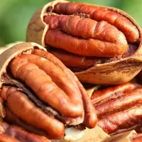 Top Grade Pecan Nuts