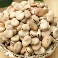 Dried Broad And Fava Beans