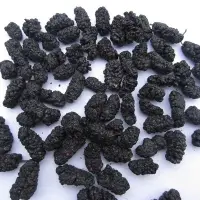 Organic Black Mulberry