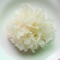Fresh Tremella Fuciformis