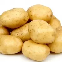 Fresh Potato