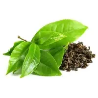 Organic Green Tea