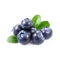 Frozen Fresh Blueberry