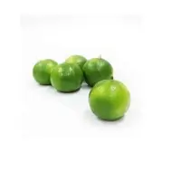 Fresh Lime / Fresh Lemon Wholesale