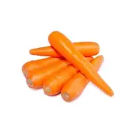 New Crop Organic Fresh Carrots