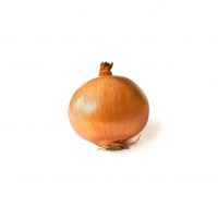 Premium Fresh Yellow Onions