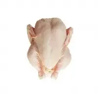 Frozen Halal Whole Chicken
