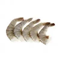 Fresh Frozen Black Tiger Shrimps