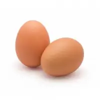 Fresh Chicken Eggs