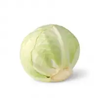 Fresh Green Cabbage