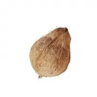 Fresh Semi Husked Coconut