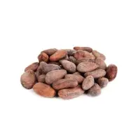 Wholesale Cocoa Beans