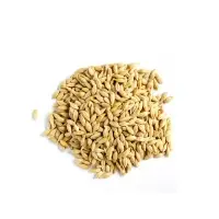 Malted Barley Grain