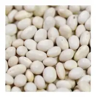 White Kidney Beans