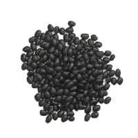 Black Kidney Beans