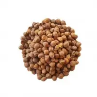 Chickpea Kabuli