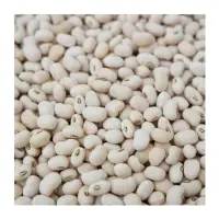 White Cowpea Vigna Beans
