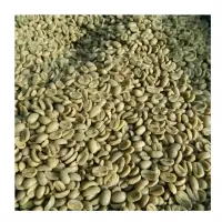Green Arabica Coffee Beans