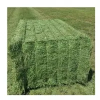 Cattle Alfalfa Hay