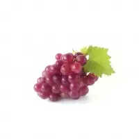 Fresh & Frozen Seedless Grape