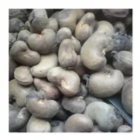 Raw Cashew Nuts In Shell