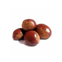 Fresh Raw Chestnuts