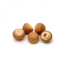 Dried Betel Nuts