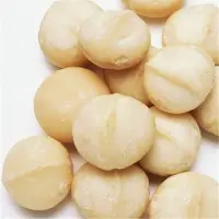 Raw Macadamia Nuts 
