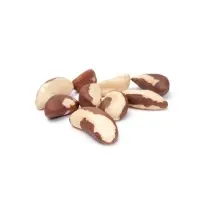 Raw Brazil Nuts