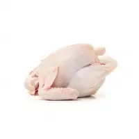 Halal Frozen Whole Chicken