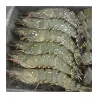 Frozen Black Tiger Shrimps