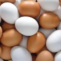 Fresh Chicken Eggs