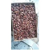 Segei Dates