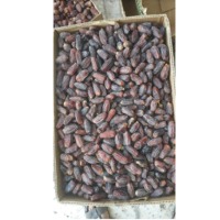 Mabroom AA Dates