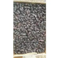 Safawi AA Dates