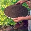 Vermicompost