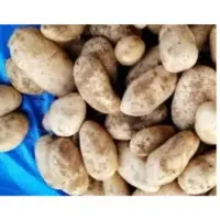 Desert Potatoes