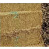 Hay