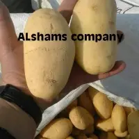 Fresh Potatoes With High Quality