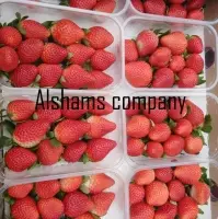 Fresh Strawberry With High Quality