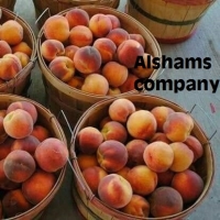 Fresh Peaches With High Quality