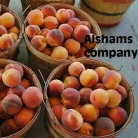 Fresh Peaches With High Quality