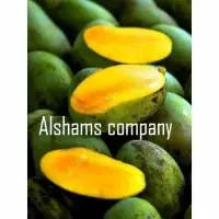 Fresh Mango With High Quality