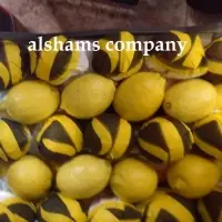 Fresh Lemon With High Quality