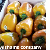 Fresh Pepper
