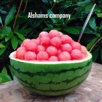 Egyptian Fresh Watermelon With Best Quality